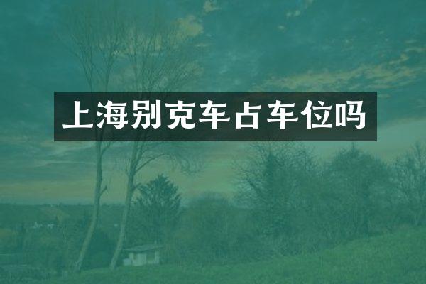上海别克车占车位吗