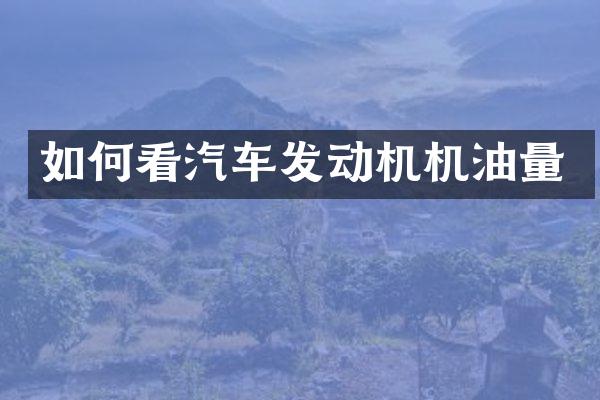 如何看汽车发动机机油量