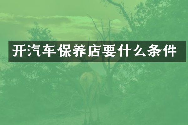 开汽车保养店要什么条件