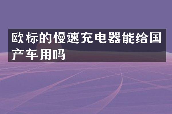 欧标的慢速充电器能给国产车用吗