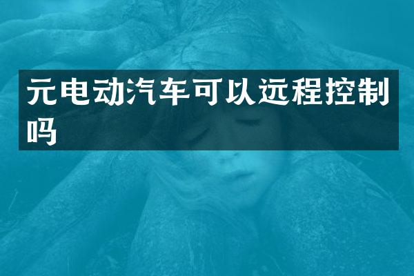 元电动汽车可以远程控制吗