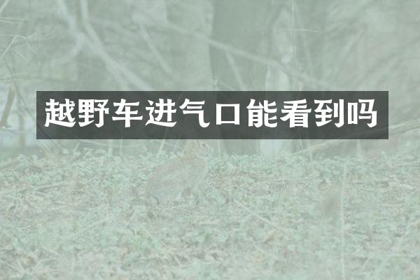 越野车进气口能看到吗