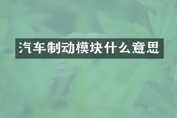 汽车制动模块什么意思