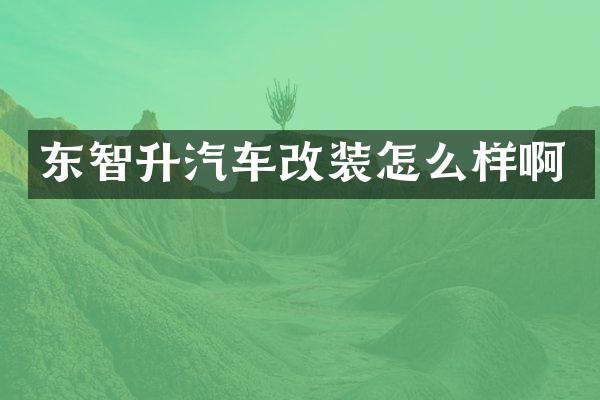 东智升汽车改装怎么样啊