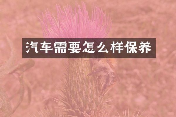 汽车需要怎么样保养