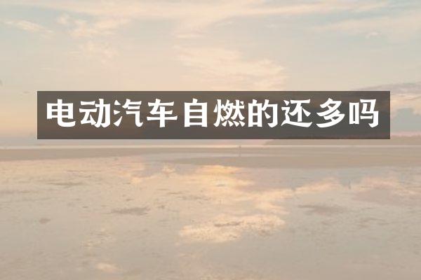 电动汽车自燃的还多吗