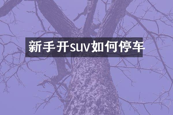 新手开suv如何停车