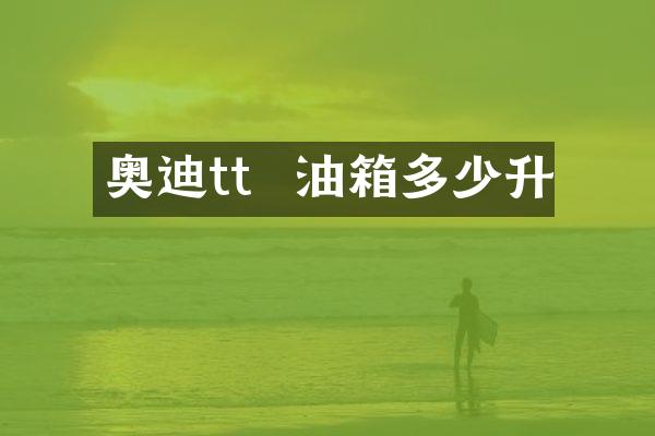 奥迪tt  油箱多少升