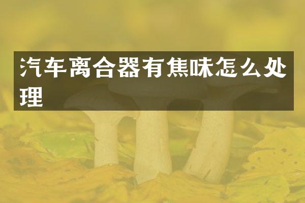 汽车离合器有焦味怎么处理