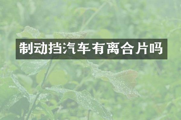 制动挡汽车有离合片吗