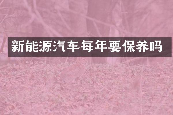 新能源汽车每年要保养吗