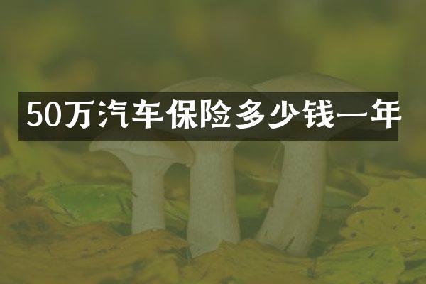 50万汽车保险多少钱一年