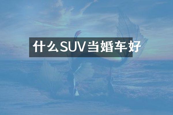 什么SUV当婚车好