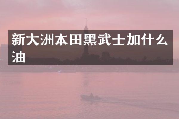 新大洲本田黑武士加什么油
