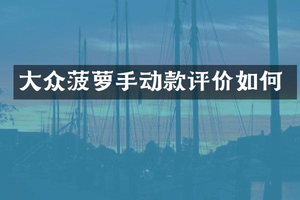 大众菠萝手动款评价如何