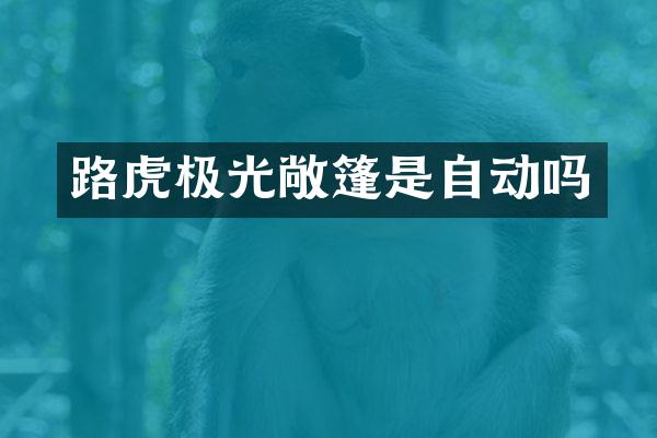 路虎极光敞篷是自动吗