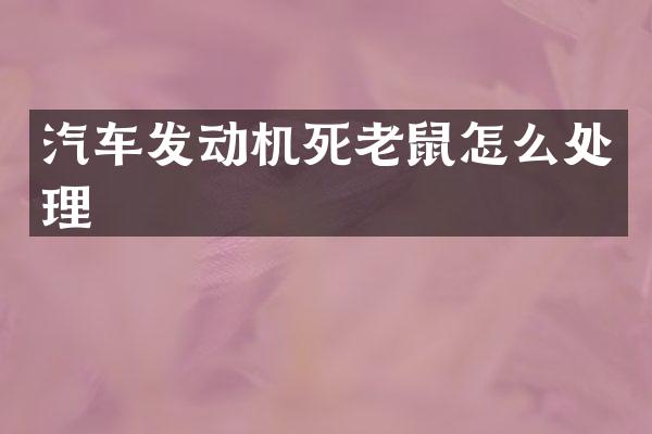 汽车发动机死老鼠怎么处理