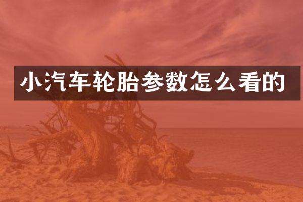 小汽车轮胎参数怎么看的