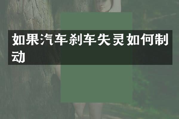 如果汽车刹车失灵如何制动
