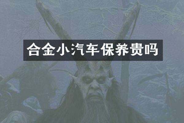 合金小汽车保养贵吗