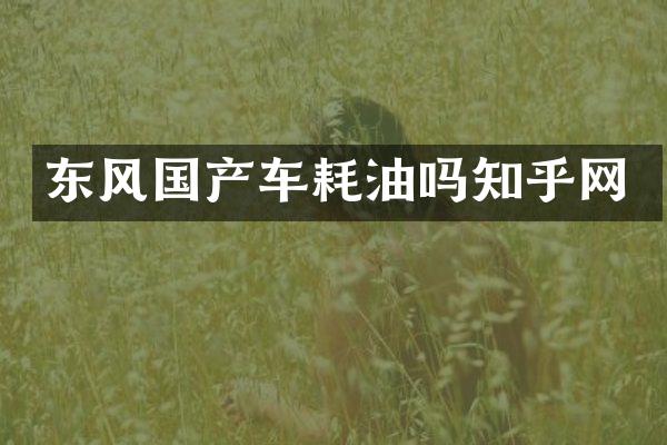 东风国产车耗油吗知乎网