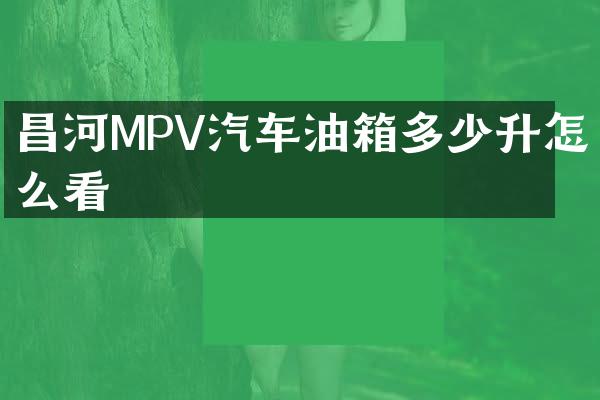 昌河MPV汽车油箱多少升怎么看