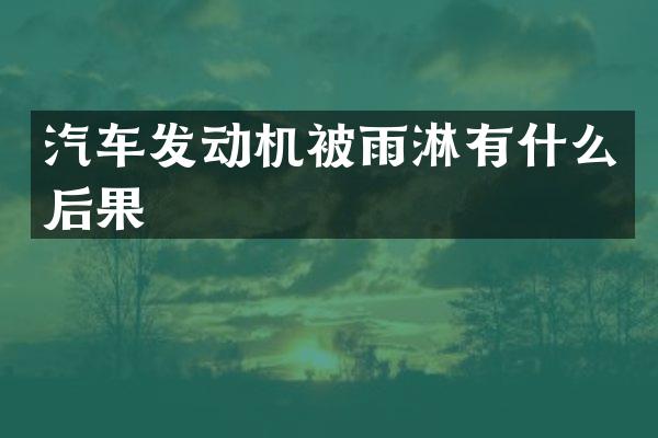 汽车发动机被雨淋有什么后果
