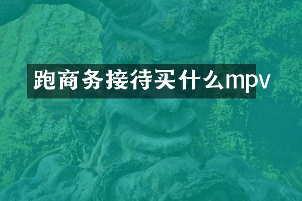 跑商务接待买什么mpv