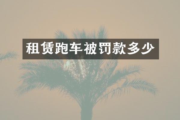 租赁跑车被罚款多少