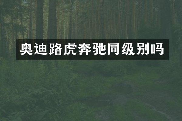 奥迪路虎奔驰同级别吗