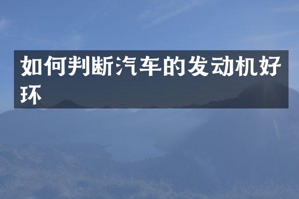如何判断汽车的发动机好环