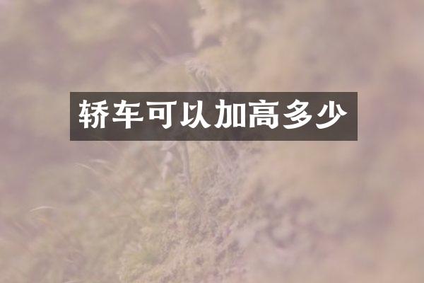 轿车可以加高多少