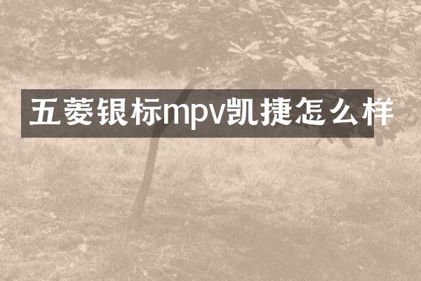 五菱银标mpv凯捷怎么样