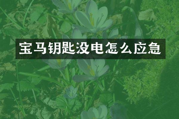 宝马钥匙没电怎么应急