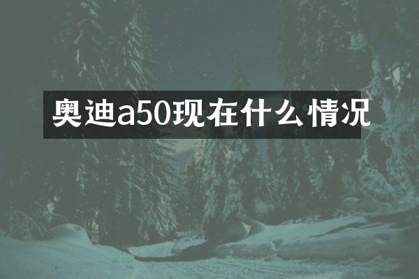 奥迪a50现在什么情况