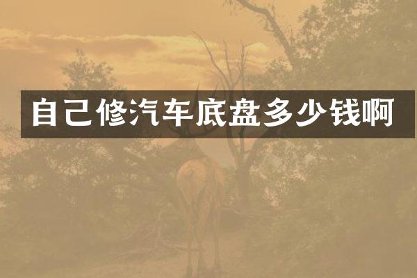 自己修汽车底盘多少钱啊