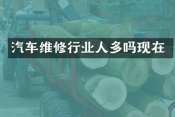 汽车维修行业人多吗现在