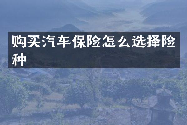 购买汽车保险怎么选择险种