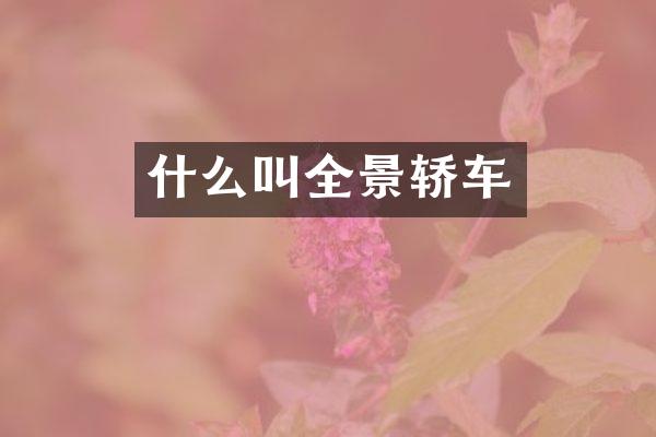 什么叫全景轿车
