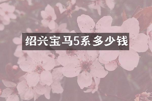 绍兴宝马5系多少钱