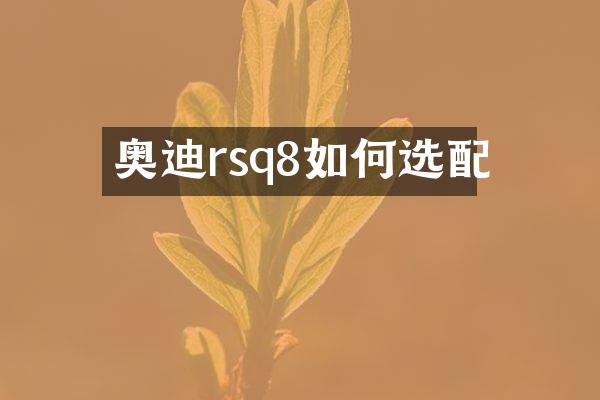 奥迪rsq8如何选配