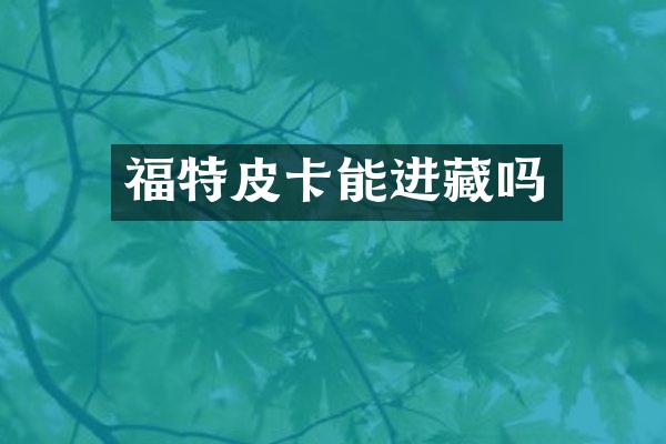 福特皮卡能进藏吗