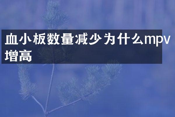 血小板数量减少为什么mpv增高