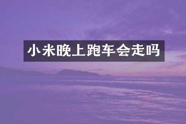 小米晚上跑车会走吗