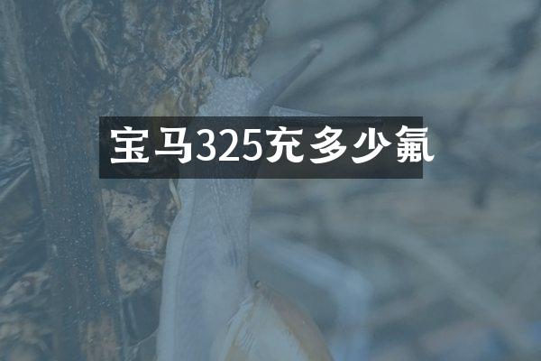 宝马325充多少氟