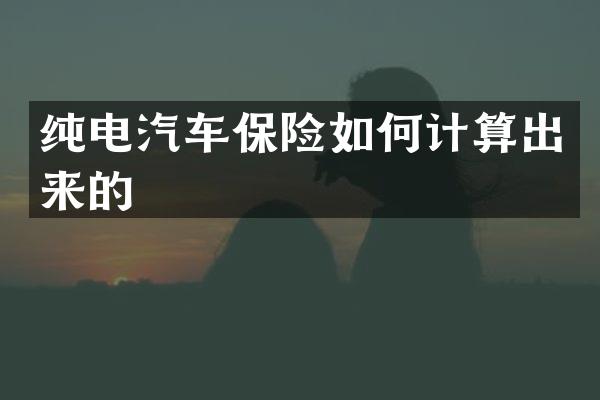纯电汽车保险如何计算出来的