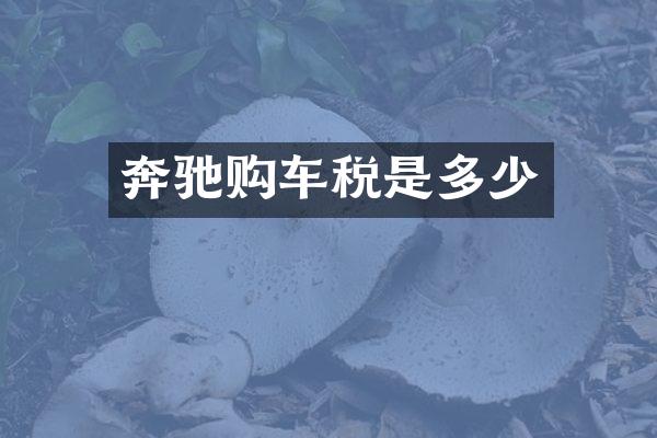 奔驰购车税是多少
