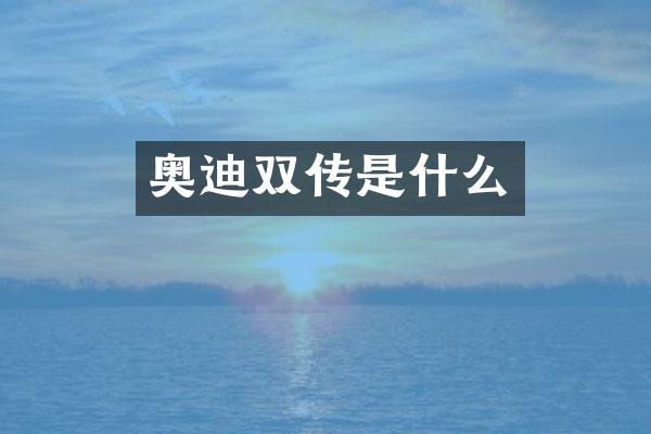 奥迪双传是什么