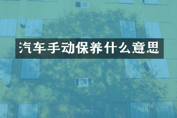 汽车手动保养什么意思