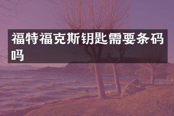福特福克斯钥匙需要条码吗